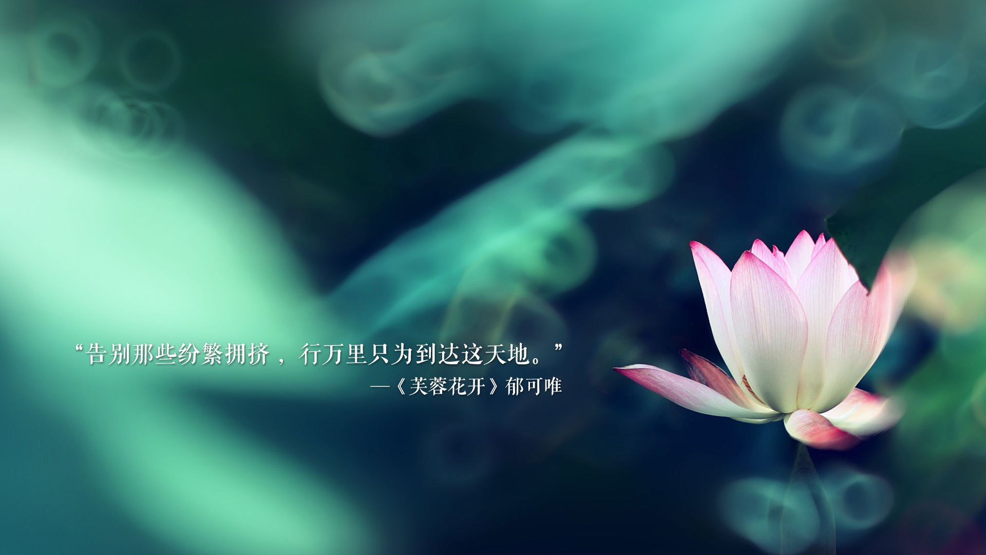 爱游戏体育app下载-赫塔菲续约主帅，球队稳定发挥，赫塔菲队主客场球衣