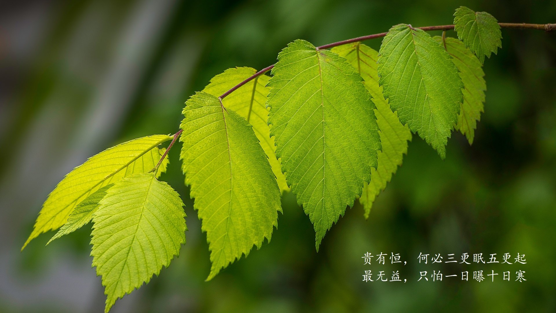一场胜利让球队在阵地战中占据优势，这场球赛的输赢不仅关系到球队的名声