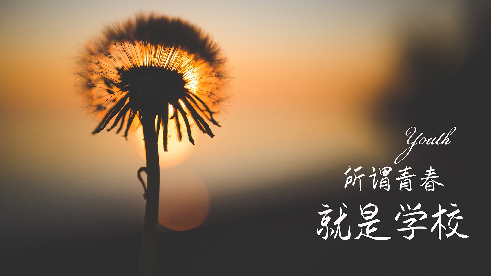 中超赛季初期与后期技战术执行对比分析，中超赛季规则