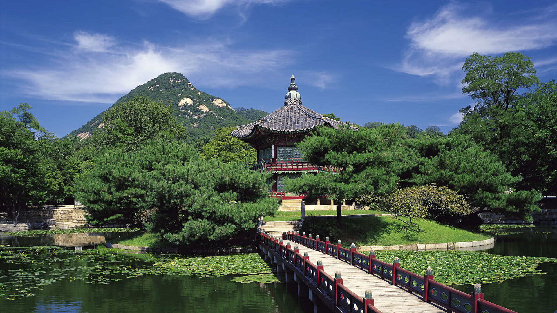 全国青少年花样游泳比赛碧水激扬，花样游泳世界青年锦标赛