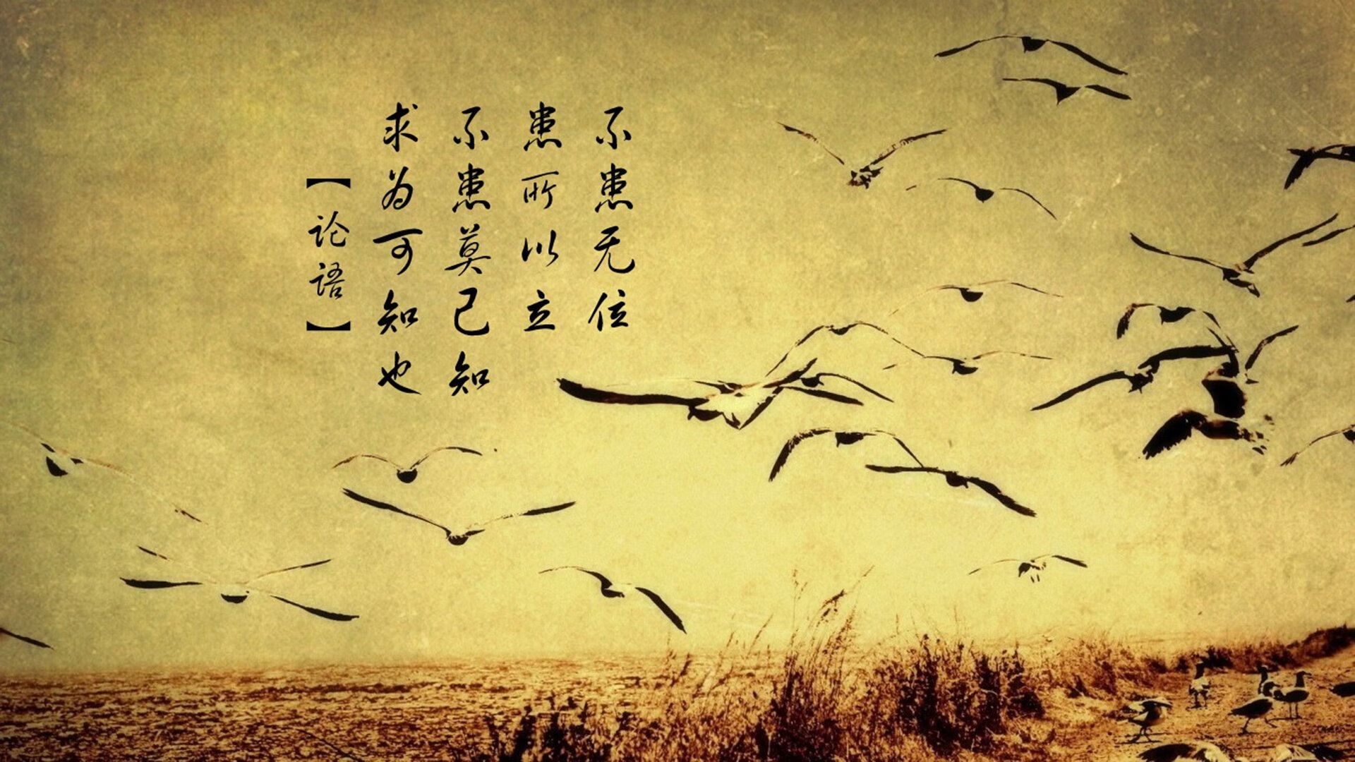 智能体育训练辅助系统设计与应用，智能 体育