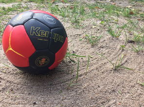 爱游戏智能平台-英超球队基于运动表现数据调整赛中体能分配策略，英超球队规则