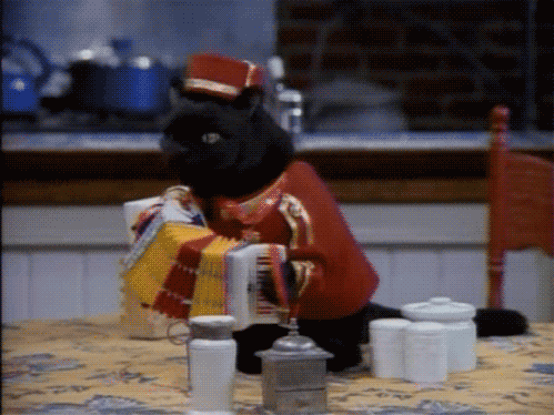 阿联酋足球联赛本土新星崛起,阿联酋足球实力怎么样