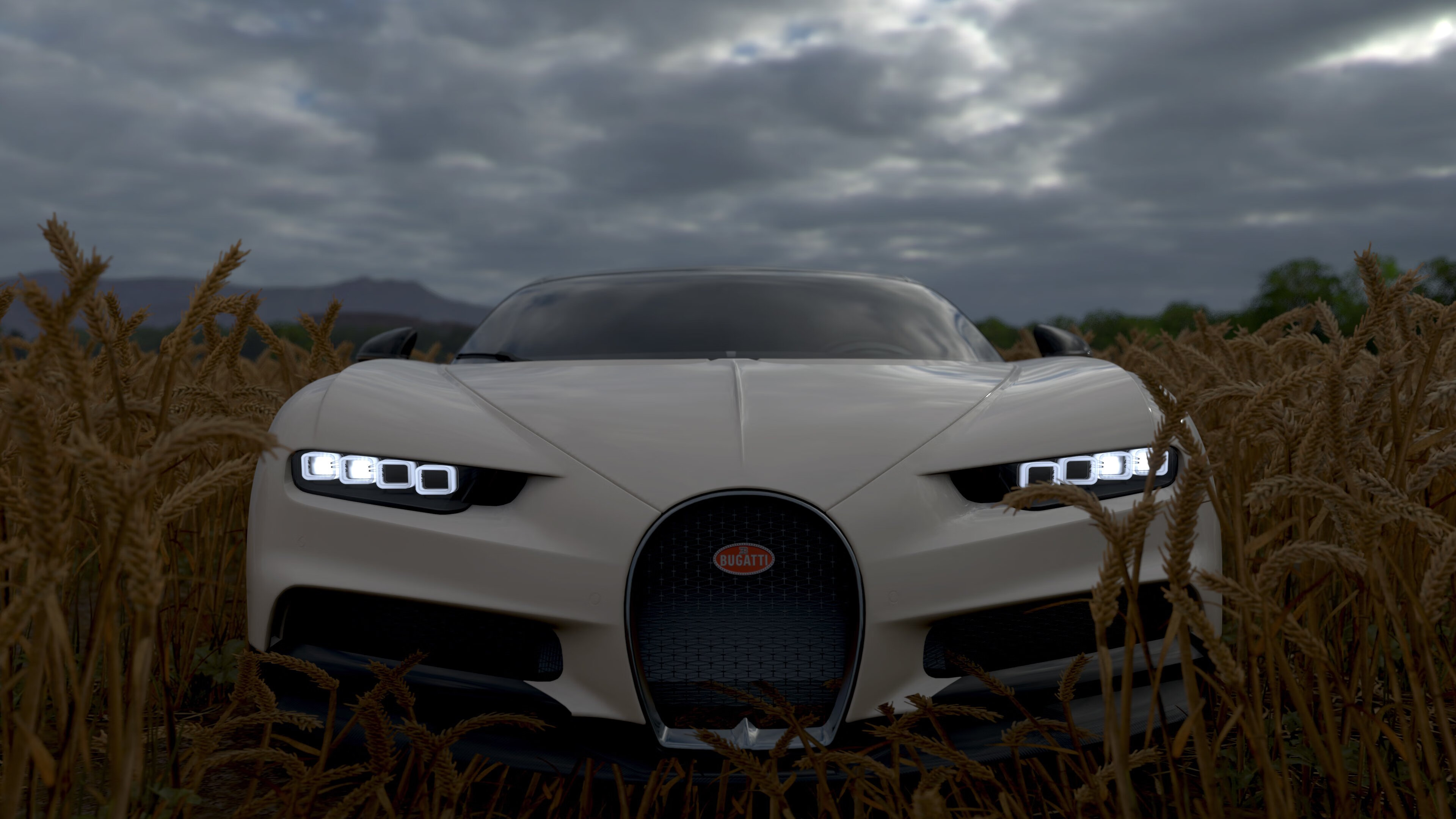 “武汉马拉松:耐力与决心的极限挑战”