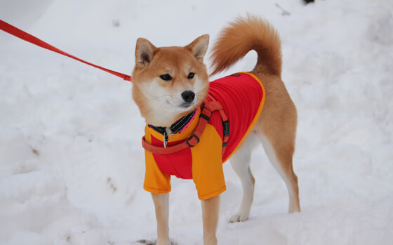 体育新闻中心主办体育新闻专业人才交流会,中国体育科学学会体育新闻传播分会