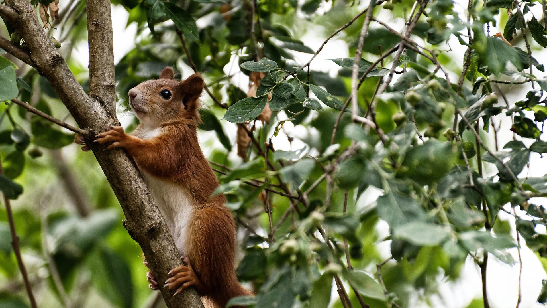 爱游戏体育-体育新闻中心拓展国际体育传播合作网络，国际新闻体育新闻