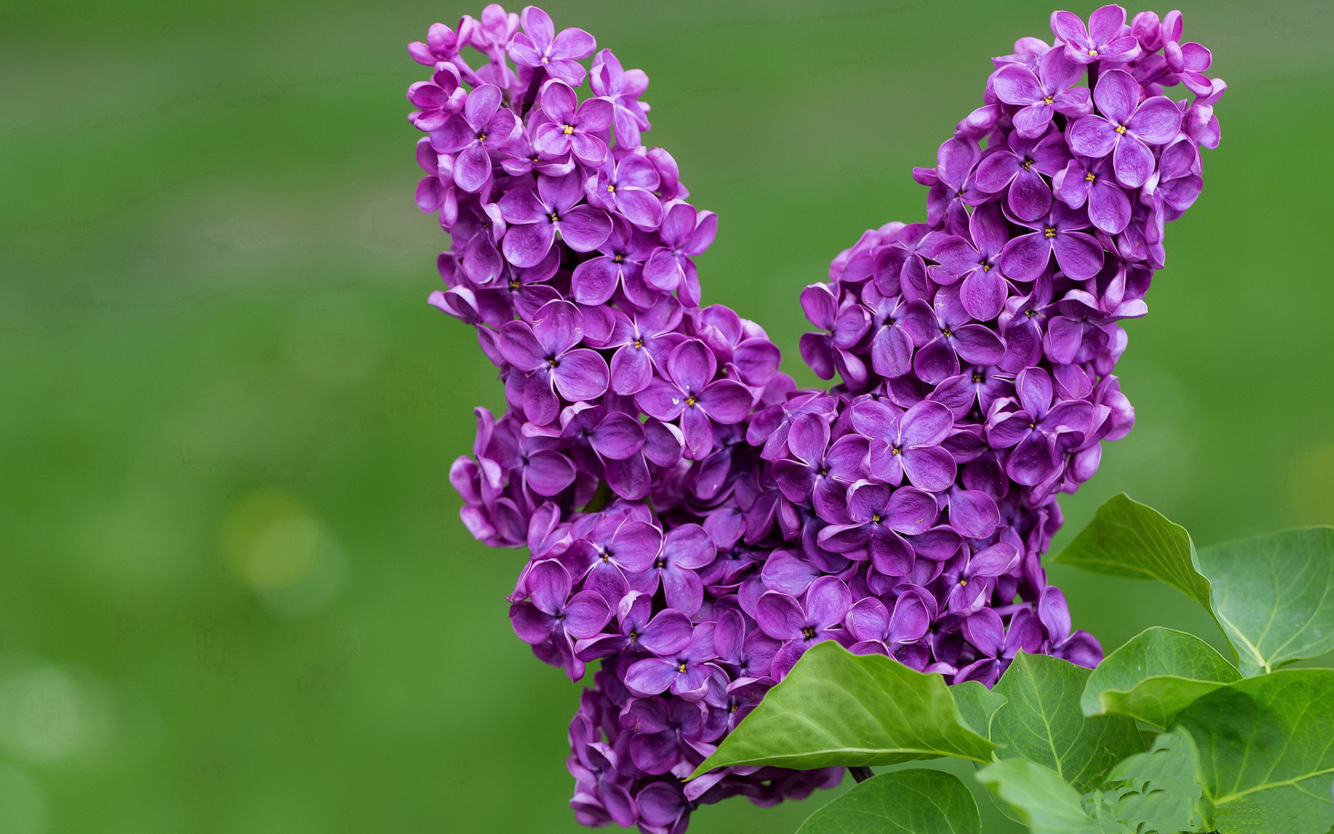 印度队在2024年混合团体世界杯表现不凡,印度参加世界杯预选赛了吗